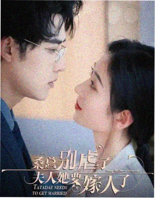 中餐厅第三季财务对账现场
